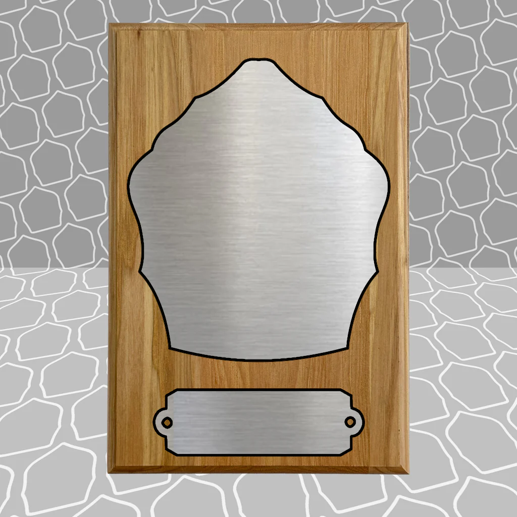 Firefighter Shield Award Plaque (6x9), Budget Friendly, Firefighter Celebrations - Image 10