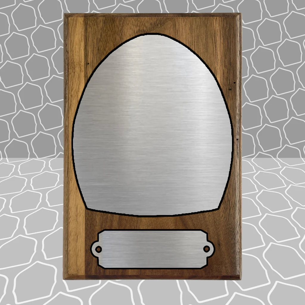 Firefighter Shield Award Plaque (6x9), Budget Friendly, Firefighter Celebrations - Image 11
