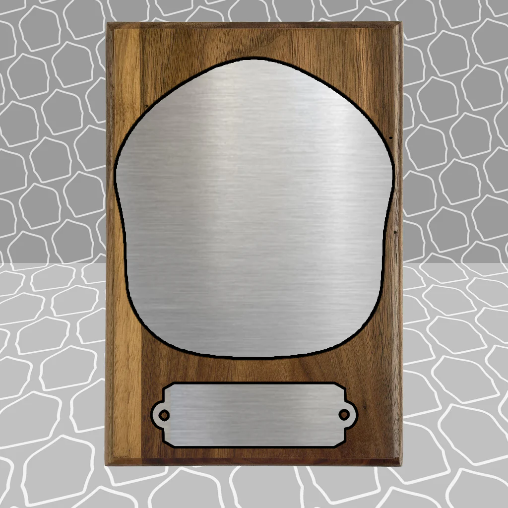 Firefighter Shield Award Plaque (6x9), Budget Friendly, Firefighter Celebrations - Image 15