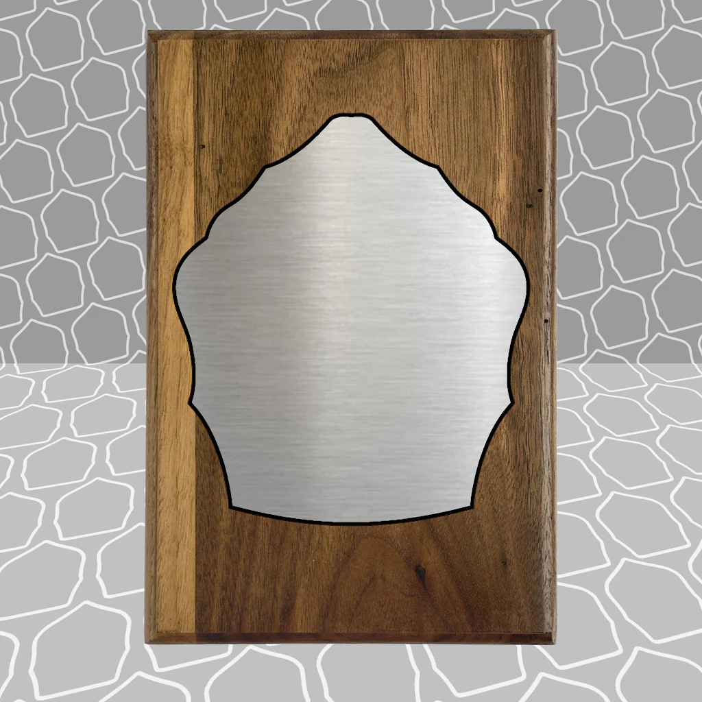 Firefighter Shield Award Plaque (6x9), Budget Friendly, Firefighter Celebrations - Image 18