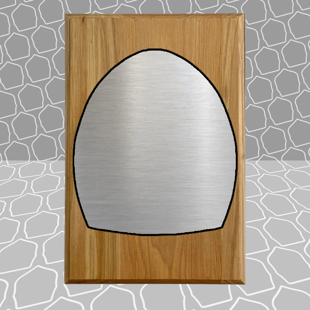 Firefighter Shield Award Plaque (6x9), Budget Friendly, Firefighter Celebrations - Image 19