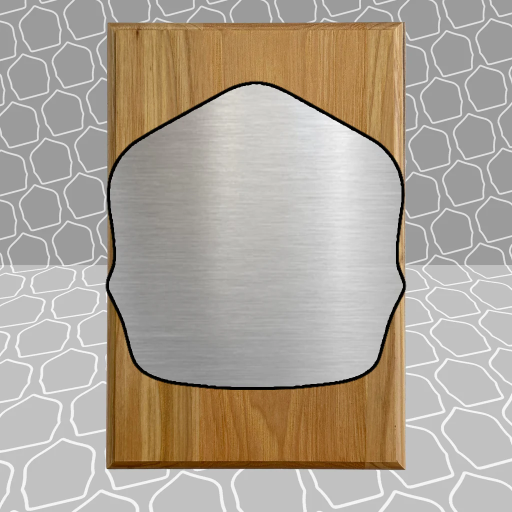 Firefighter Shield Award Plaque (6x9), Budget Friendly, Firefighter Celebrations - Image 20