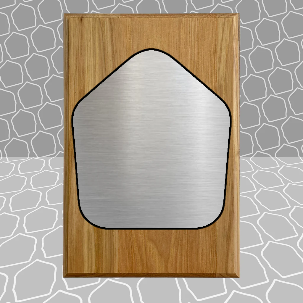 Firefighter Shield Award Plaque (6x9), Budget Friendly, Firefighter Celebrations - Image 21