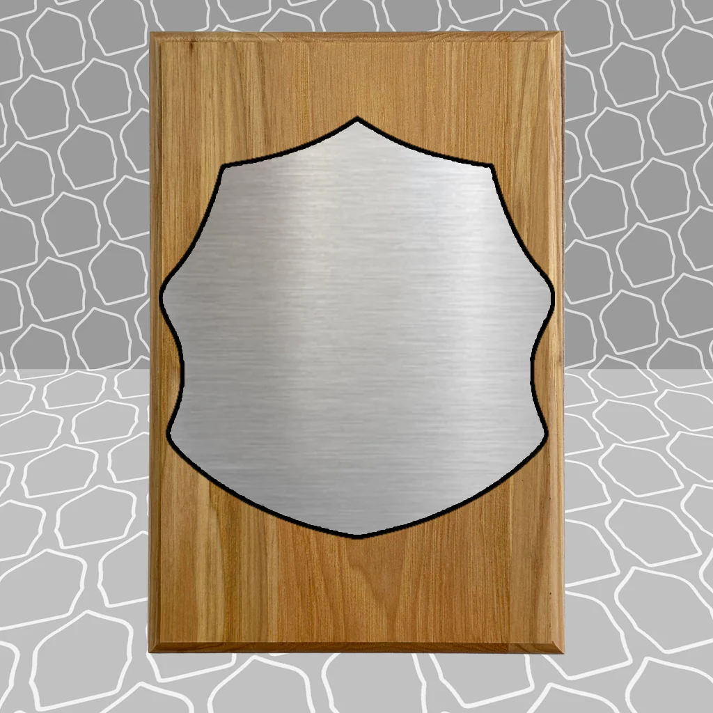 Firefighter Shield Award Plaque (6x9), Budget Friendly, Firefighter Celebrations - Image 22