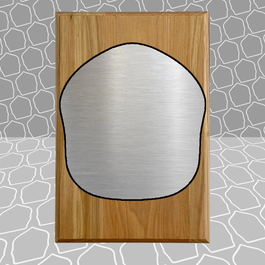 Firefighter Shield Award Plaque (6x9), Budget Friendly, Firefighter Celebrations - Image 23