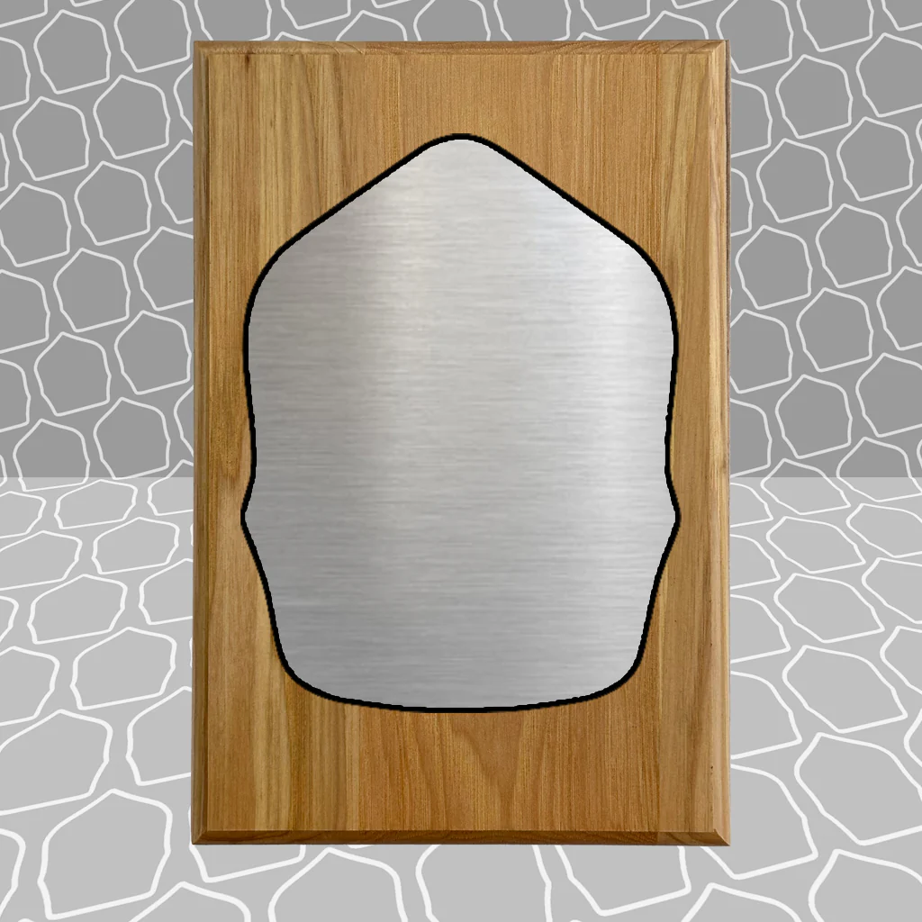 Firefighter Shield Award Plaque (6x9), Budget Friendly, Firefighter Celebrations - Image 24