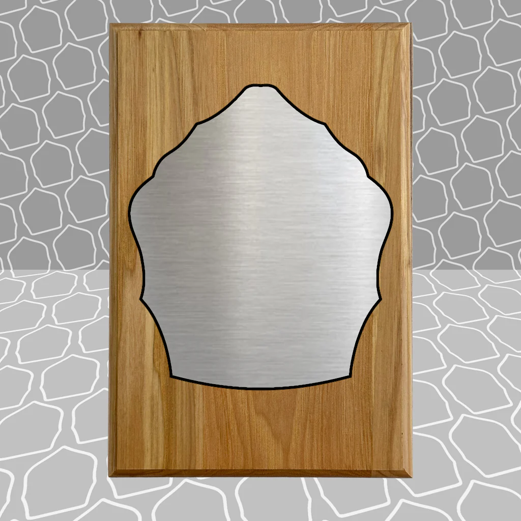 Firefighter Shield Award Plaque (6x9), Budget Friendly, Firefighter Celebrations - Image 26