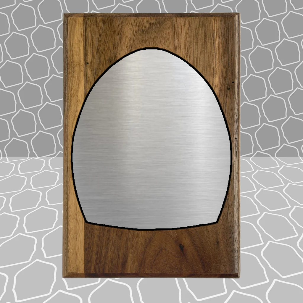 Firefighter Shield Award Plaque (6x9), Budget Friendly, Firefighter Celebrations - Image 27