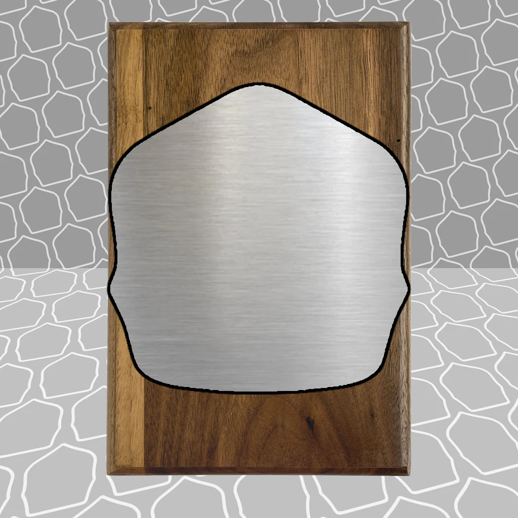 Firefighter Shield Award Plaque (6x9), Budget Friendly, Firefighter Celebrations - Image 28