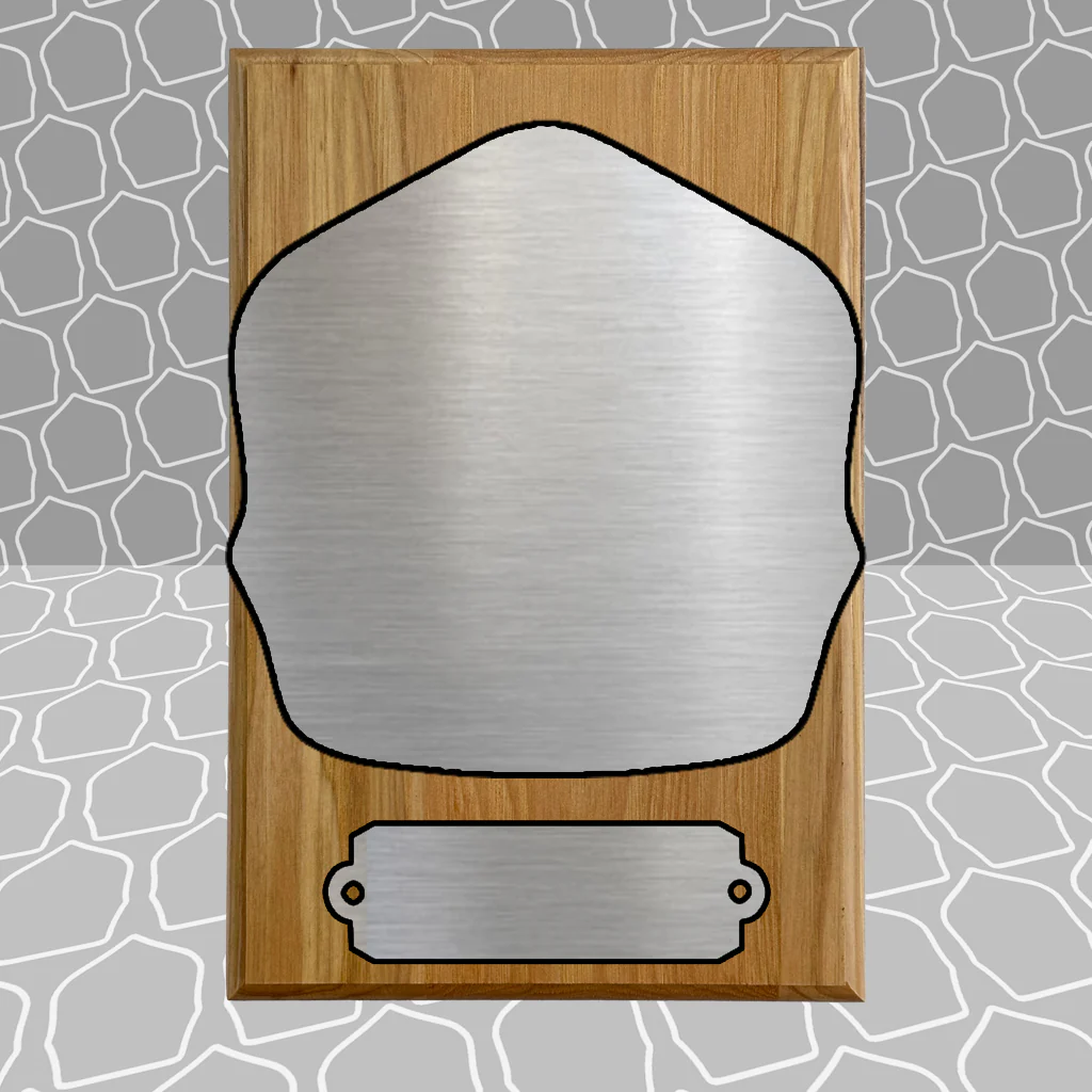 Firefighter Shield Award Plaque (6x9), Budget Friendly, Firefighter Celebrations - Image 4