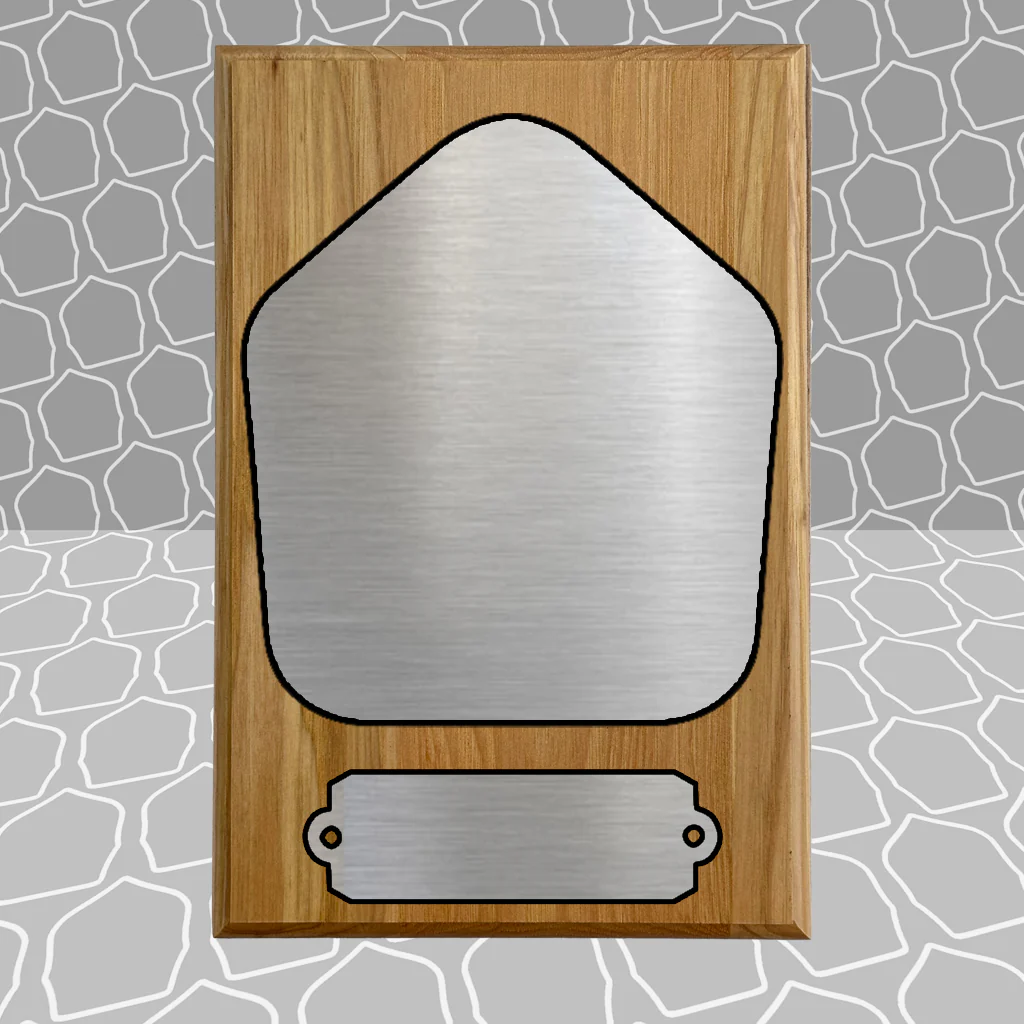 Firefighter Shield Award Plaque (6x9), Budget Friendly, Firefighter Celebrations - Image 5