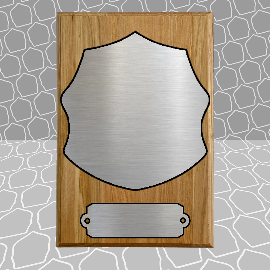 Firefighter Shield Award Plaque (6x9), Budget Friendly, Firefighter Celebrations - Image 6